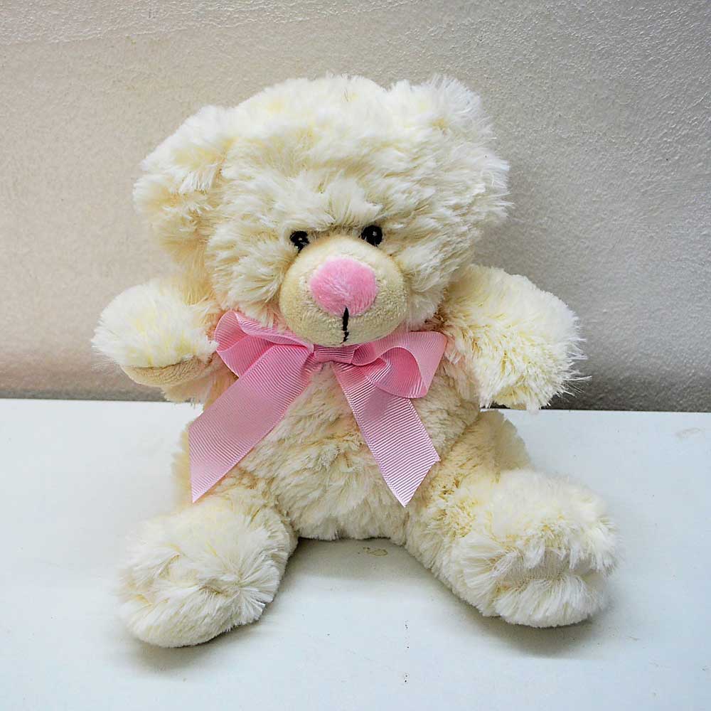 teddy bear for girl